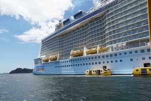 Bay of Islands 31oct2019 (266)